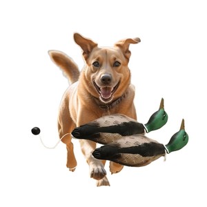 Juguete de Goma EVA de Alta Calidad para Perros, Imita un Pato Muerto, Portátil, en Bolsa de Plástico, para Observación de Aves - Product Image 1
