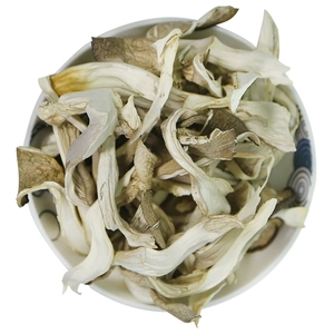 Extracto de Hongo Ostra en Polvo Goodex, 30% Polisacáridos, Grado Alimenticio, Cultivo Artificial - Product Image 3