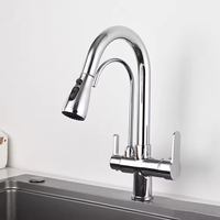 Robinet de cuisine à 2 poignées Pulvérisateur extractible 3 en 1 pour purificateur d'eau avec fonction de boisson