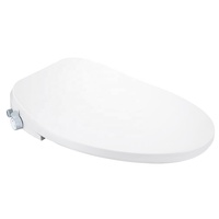 Eenvoudige Slanke Bidet Langwerpige Elektronische Intelligente Smart Bidet Toilet Seat