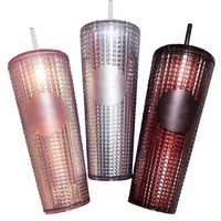 Gobelet en plastique à double paroi isolé de 24 oz avec couvercle et paille, idéal pour le café et les jus