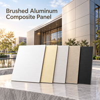 Panneau composite en aluminium brossé argenté de 4 mm 4x8 pieds pour revêtement mural commercial