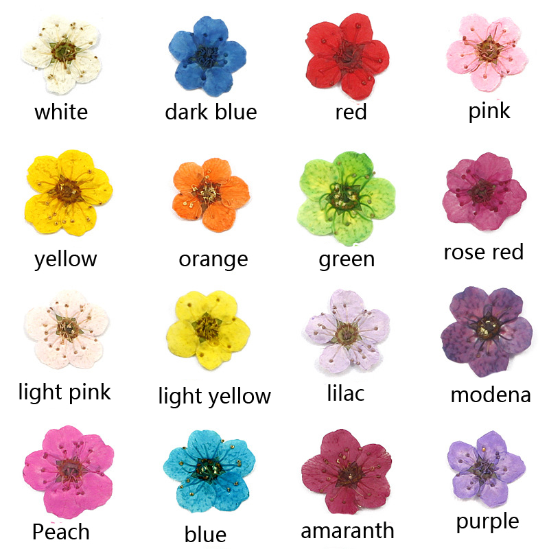 16 couleurs au choix