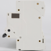 Parafoudre sur rail DIN T2 20KA 40KA 60KA 2P 275V 385V – Protection fiable contre les surtensions pour systèmes électriques domestiques et industriels