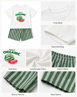 Nouvel ensemble d'été 2026 pour garçons, imprimé pastèque, t-shirt 100 % coton et short rayé vert, tenue décontractée mignonne 2 pièces pour enfants, vente en gros OEM