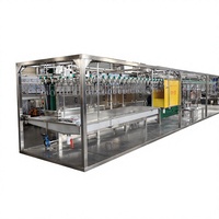 Machine d'abattage automatique de volailles, ligne de traitement de poulet en acier inoxydable, 380V, 800 BPH, équipement d'usine