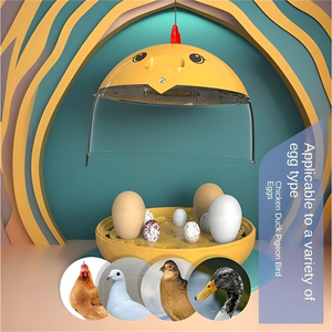 Nhà thông minh tự động nhiệt độ không đổi Rutin Vẹt Chim vịt Trứng ngỗng trứng gà lồng ấp với tốc độ nở cao - Product Image 2
