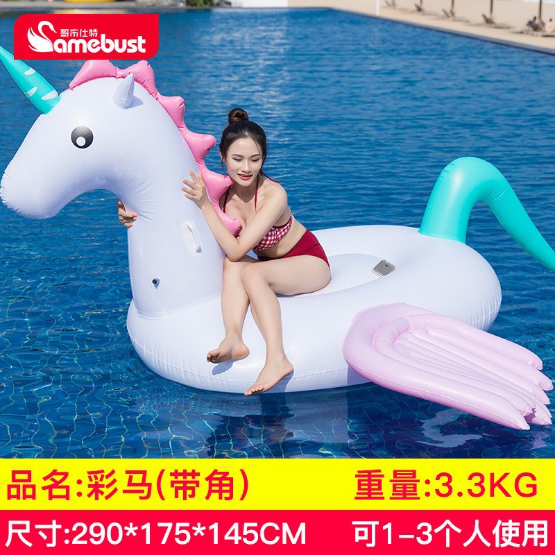 แพม้าสีสันสดใส