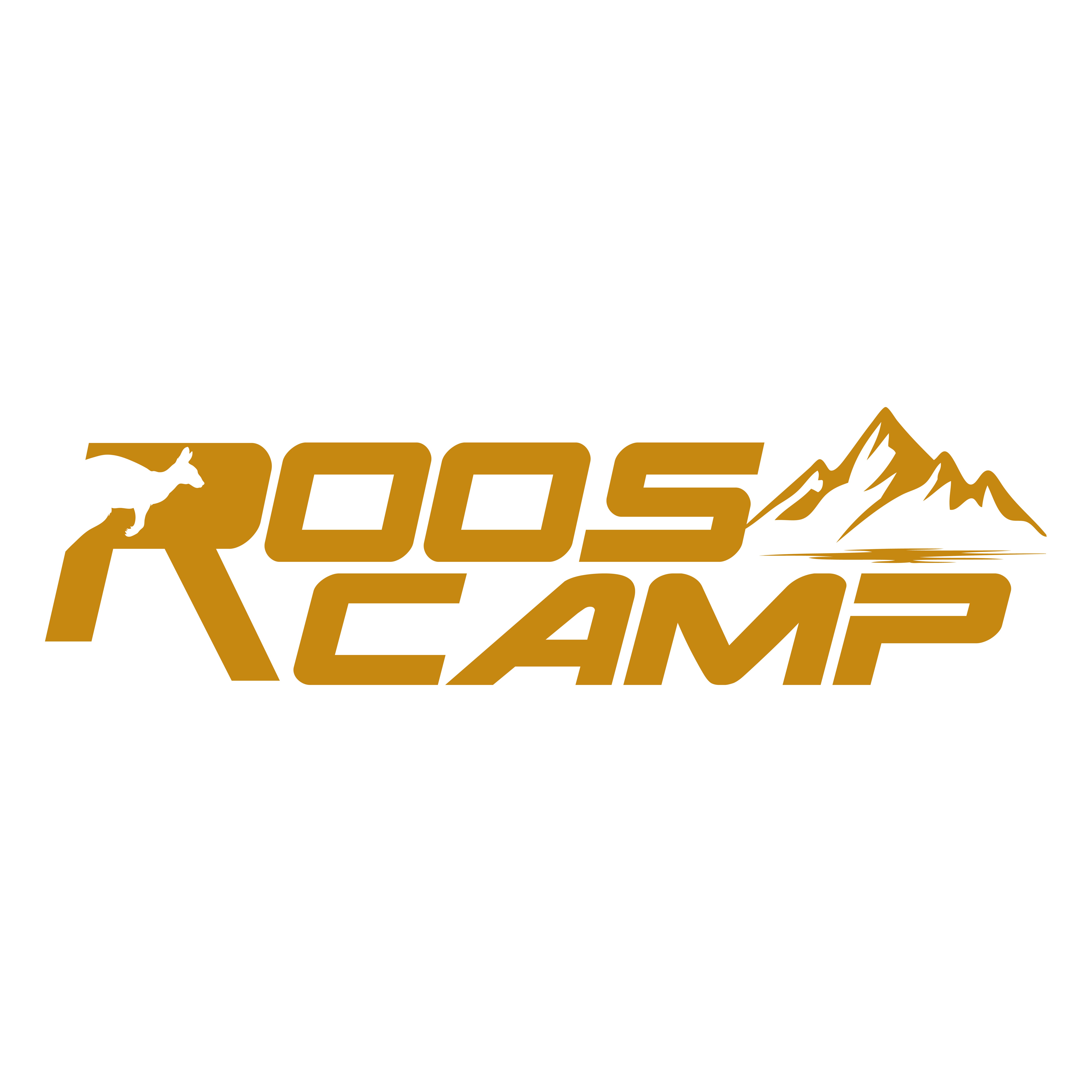 Shanghai Rooscamp Technology Co., Ltd. logo