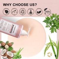 Ensemble de shampooings professionnels personnalisés pour soins capillaires naturels à l'aloe vera, au théier, à l'huile d'argan et à l'eau de riz réparatrice