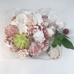Hot Selling Colorful <strong>Clam</strong> Real Scallop Decoration Sea <strong>Shells</strong> - Product Image 5