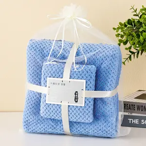 High Quality 2pcs Thick C Gift Bags Custom Coral Fleece Soft Absorbent Microfiber Bath Face Towel Sets