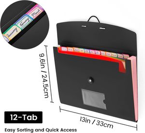 Cartella Espandibile Premium a 12 Tasche Formato A4, Organizzatore in PP, Prodotti per Presentazioni e Archiviazione - Product Image 6