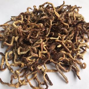 फ्रीज सूखे केंचुआ मछली Lures खाद्य केंचुए - Product Image 6