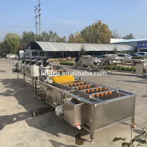 DZJX Commercial Passion Fruit Washing Sorting Grading Drying And Blowing Machine Coconut Vegetable Cleaning Machine