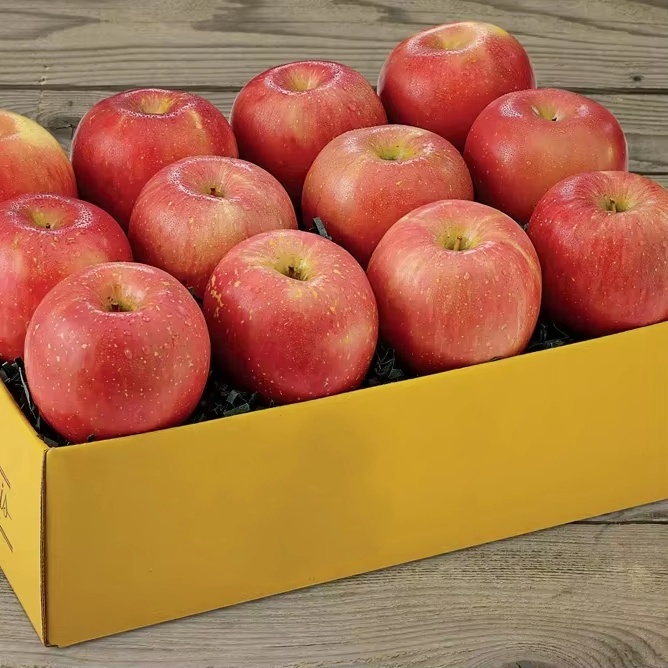 2025 New Crop Fresh Red Apple