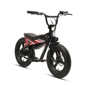 Juego de Ruedas Integradas con Neumáticos Gruesos de <span class=keywords><strong>16</strong></span> Pulgadas TXED, Motocicleta Eléctrica <span class=keywords><strong>para</strong></span> Niños, Bicicleta Eléctrica de 250 W - Product Image 1