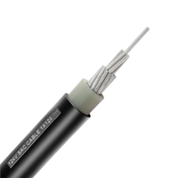 Conductor Aéreo de Aluminio de Media Tensión AAC de 15KV, Cable de Alimentación SAC con Aislamiento de PVC IP44 para Transmisión