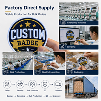 Écussons brodés 3D personnalisés en chenille, thermocollants ou à coudre, pour vêtements, casquettes, sacs – Fournisseur d'usine OEM ODM
