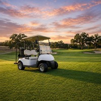 Programme de revendeur en gros Skywork OEM ODM – Chariots de golf électriques personnalisables 2, 4 ou 6 places avec batterie au lithium 72V