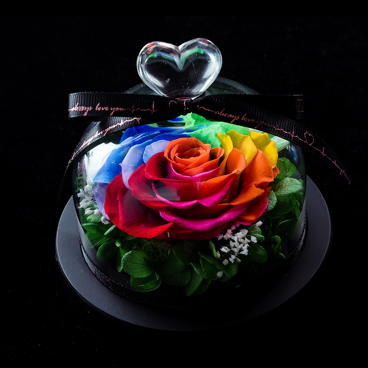 Tête de rose colorée 12*12cm