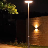 Lámpara de Jardín LED Exterior Personalizada, Impermeable IP65, Cuerpo de Hierro, Pantalla de Vidrio, Iluminación de Paisaje, Opciones de Temperatura de Color Múltiple
