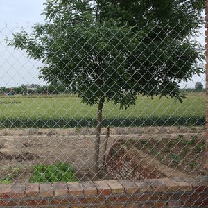 Treillis <span class=keywords><strong>de</strong></span> <span class=keywords><strong>jardin</strong></span> extérieur Clôture <span class=keywords><strong>de</strong></span> sécurité en <span class=keywords><strong>fil</strong></span> d'acier galvanisé Twist Metal Mesh Chain Link Iron PVC Wood Barbed Wire - Product Image 2