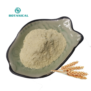 कार्बनिक थोक प्राकृतिक पेसिलियम बीज पाउडर 99% पेसिलियम भूक पाउडर - Product Image 5
