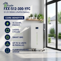 Batterie de stockage d'énergie solaire LiFePO4 51.2V 10-20KW à montage mural mobile avec roulettes, écran tactile, BMS intelligent, extension parallèle, OEM/ODM
