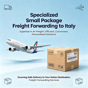 Agente de Dropshipping de China a Italia, Servicio de Envío de Paquetes Pequeños de 0-5 kg por Vía Aérea, Servicio DDP 3PL para Shopify, Etsy, Amazon - Product Image 3