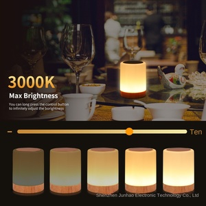 Lampe de chevet moderne et créative à commande tactile pour PC, avec batterie rechargeable, lumière LED de nuit pour bureau et utilisation en extérieur - Product Image 4