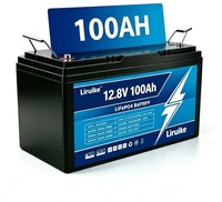 Batterie au lithium LiFePO4 Desay 12V 24V 100Ah-400Ah 6000 cycles - Température de fonctionnement de -20 à 60°C pour utilisation en voiture et camion (AGM)