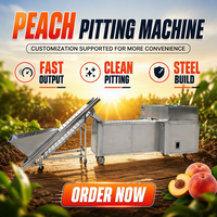 Nieuwe fruit- en groenteverwerkingsmachine 4,2 kW automatische snijmachine met PLC-besturing, hoge capaciteit, gemotoriseerd