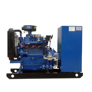 Venta caliente 80kw 100kva generador de biogás generador de turbina de gas Proveedor Profesional con precio de fábrica y buena calidad