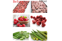 Équipement de lyophilisation multifonctionnel domestique 20 kg/h, sécheur automatique de bureau de qualité alimentaire avec pompe pour fruits et friandises pour animaux de compagnie