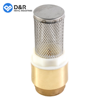 Vanne anti-retour en laiton pleine grandeur D&R personnalisée DN15 1/2''-2'' 4 pouces, vanne à ressort verticale à sens unique avec filtre en acier inoxydable