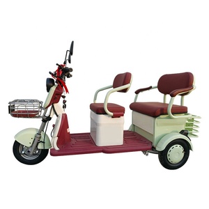Triciclo Elettrico da Fabbrica 48V 60V a Bassa Velocità, Veicolo Elettrico a 3 Ruote 500W 1200W, Veicoli Ricreativi in Vendita - Product Image 3