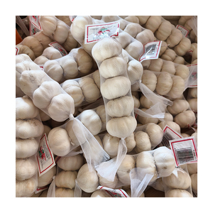 Tỏi Tươi Bán Buôn Bình Thường Và Trắng Tinh Khiết Tỏi Hạt Giống Ajo Fresco Với Giá Hàng Đầu Gừng Và Tỏi Nhà Cung Cấp Trong Châu Âu - Product Image 4