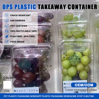 Recipiente de plástico transparente para alimentos a prueba de manipulaciones, caja de puntilla para ensalada, pastel para galletas, fruta, embalaje de plástico desechable con concha