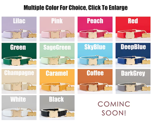 वाटरप्रूफ लक्जरी पु चमड़े के कुत्ते और बिल्ली कॉलर लीड सेट उत्कीर्ण धातु के बकल के साथ सेट - Product Image 6