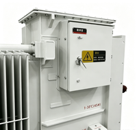 Transformateur ONAN immergé dans l'huile, scellé, grande capacité, ZGS20-L-1250kVA 22/0.4kV, enroulement en cuivre pur, pour zones rurales régionales