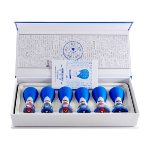 <span class=keywords><strong>HACI</strong></span> Magnetisches Akupressur-Schröpfset für den Haushalt – 6 Schröpfgläser für nicht-invasive Akupunktur-Vakuumtherapie - Product Image 4