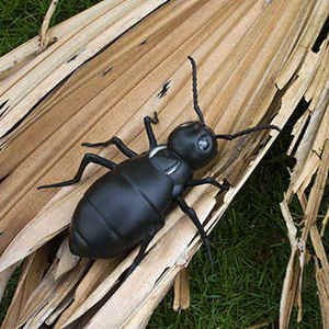 Fourmi éducative électrique précoce pour enfants, jouet animal, nouveauté, modèle d'insecte, autre véhicule télécommandé, fourmi RC infrarouge électrique sans fil - Product Image 3