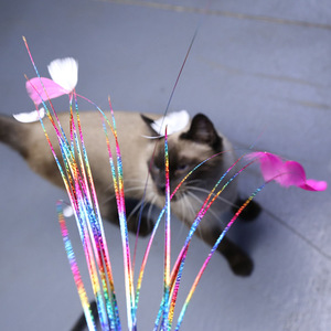 Jouets pour chats Aduck, bâtons pour taquiner les chats, bâtons à plumes, bandes arc-en-ciel papillon. - Product Image 1