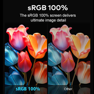 Écran portable triple 14 pouces 1200P IPS double affichage pour poste de travail, commerce, bourse, Forex USB C HDR - Product Image 3