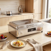 Chauffe-Plat Électrique Professionnel en Acier Inoxydable pour Buffet, Plat de Service pour Restaurant et Hôtels