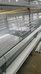 Katman \/tavuk \/yumurta tavuk için sıcak satış otomatik kanatlı çiftlik kafesi - Product Image 3