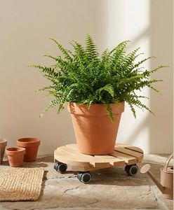 [BenK] Support de plantes en bois rond FSC à roulettes mobiles, système Wagner, rouleau pour plantes, classique, doux, très vendu - Product Image 5