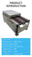 Fabrieksdirect 1500W Dubbelspoorige Pitmachine voor Fruit en Groenten 220V/380V Motor