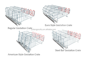 Cage <span class=keywords><strong>de</strong></span> maternité pour truies galvanisée à chaud avec plancher à lattes en plastique et mangeoire pour porcelets, équipement pour élevage porcin - Product Image 3